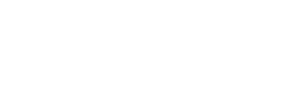 NIMS - 2