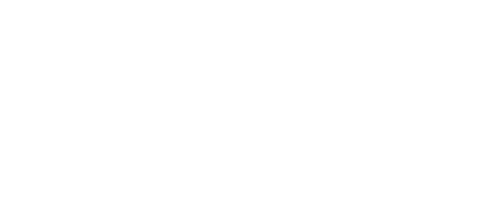 V Guard 1
